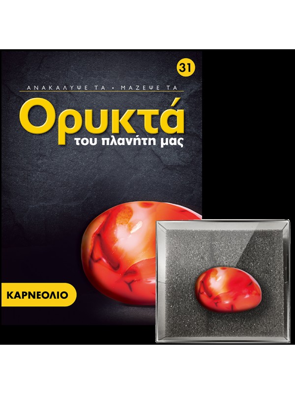 Καρνεόλιο  Τ31