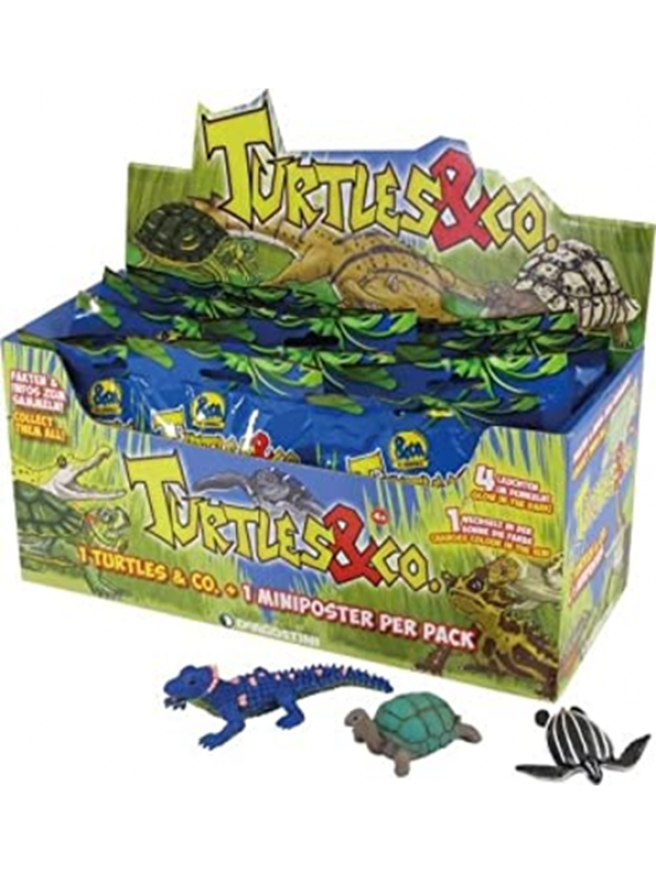 Turtles & Co Turtles & Co