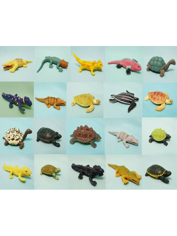 Turtles & Co Turtles & Co