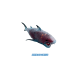 Super Animals Super Shark Edition