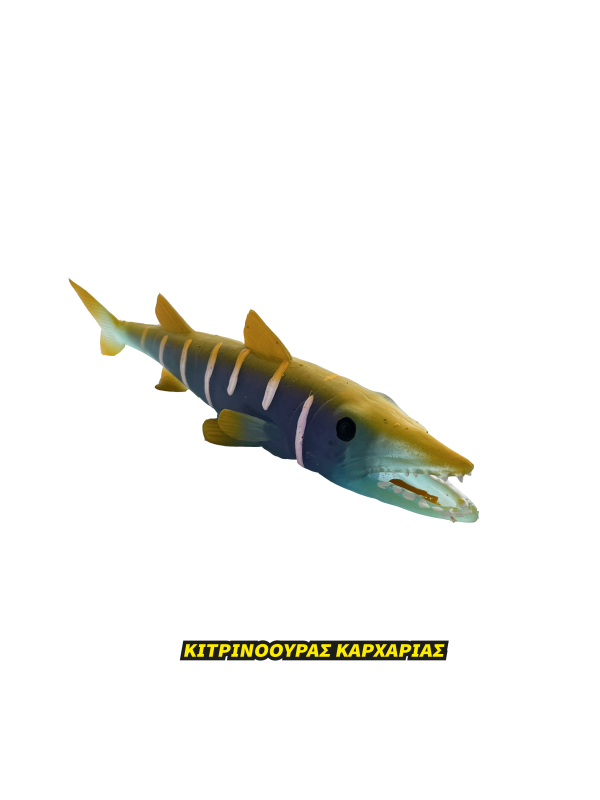 Super Animals Super Shark Edition