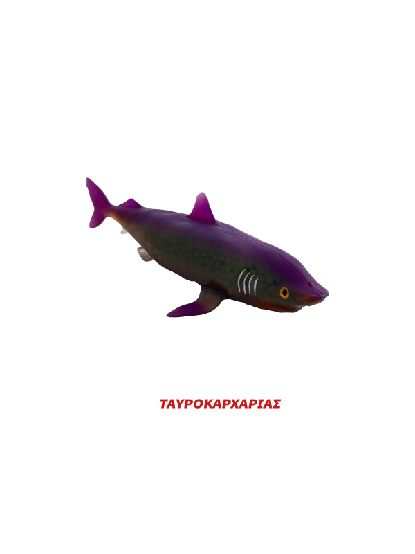Super Animals Super Shark Edition