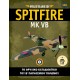 Spitfire MK VB T101