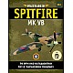 Spitfire MK VB T111