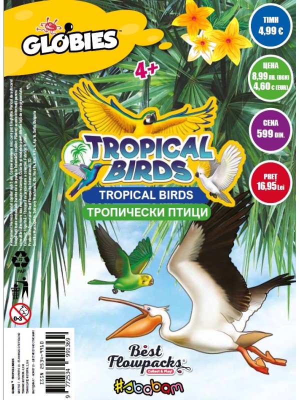 Tropical Birds