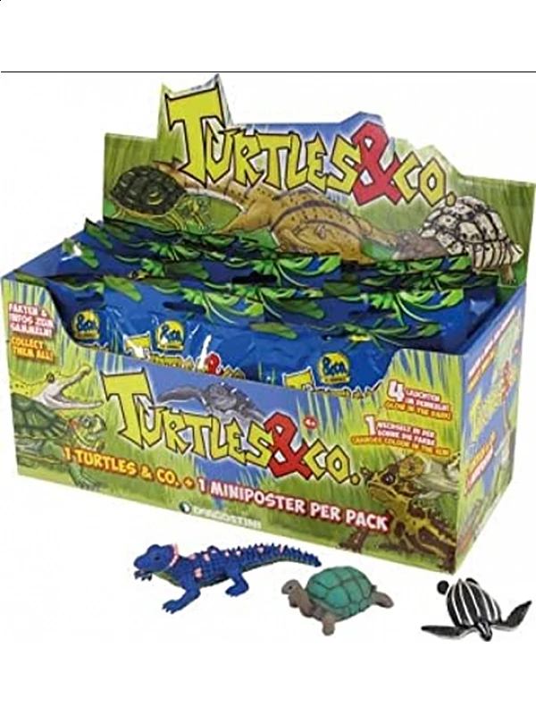 Turtles & Co Turtles & Co