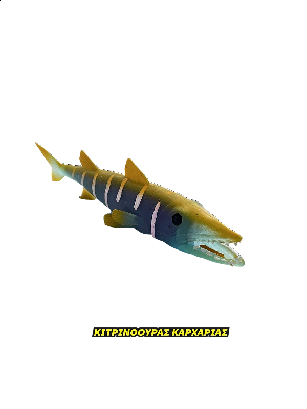 Super Animals Super Shark Edition Super Animals Super Shark Edition
