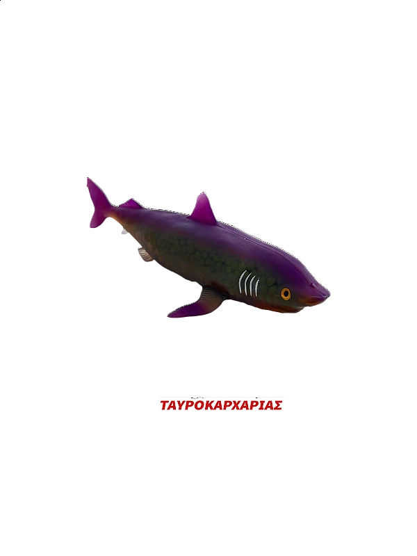 Super Animals Super Shark Edition Super Animals Super Shark Edition