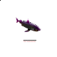 Super Animals Super Shark Edition Super Animals Super Shark Edition
