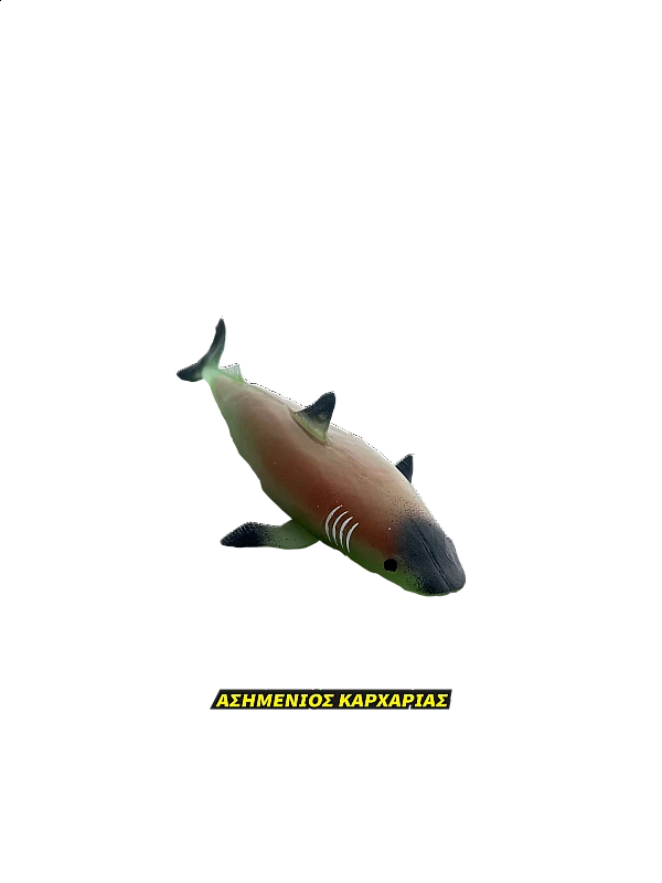 Super Animals Super Shark Edition Super Animals Super Shark Edition